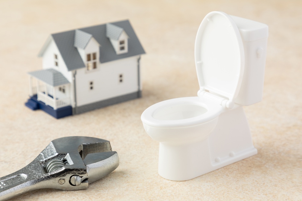 our go to toilet and why we rarely deviate